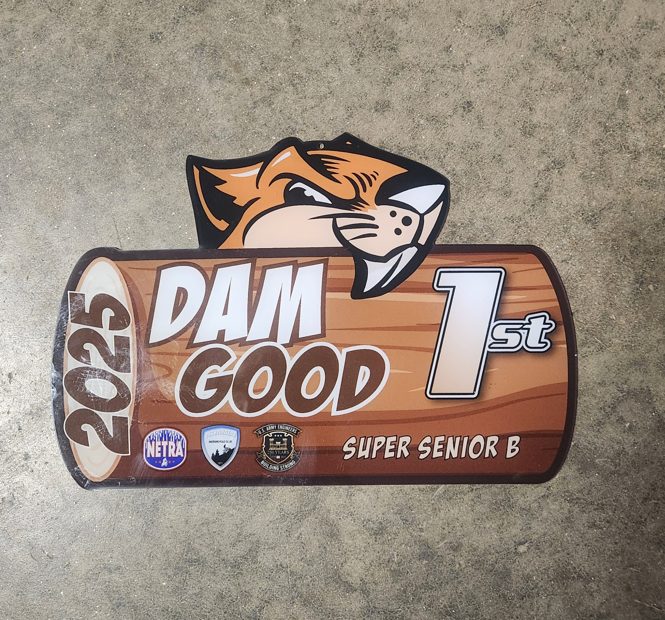 Netra Dam Good